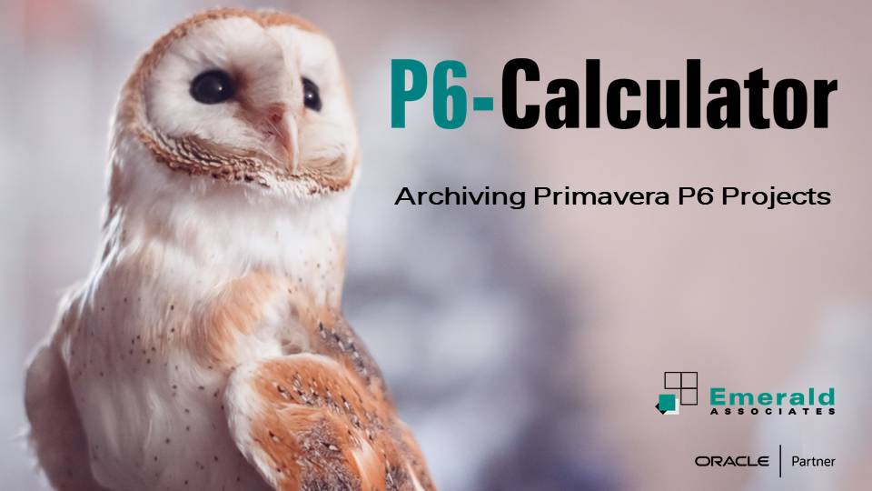 Archiving Primavera P6 Projects with the P6-Calculator